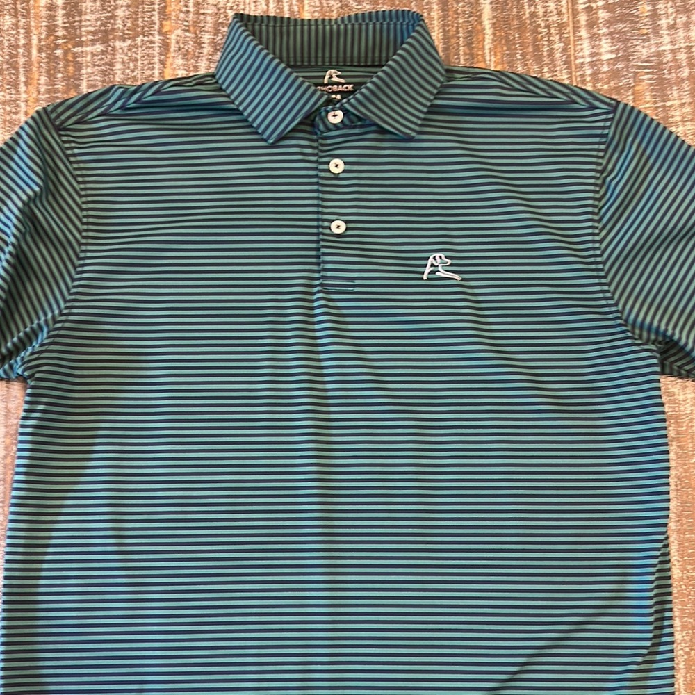 Rhoback Men's Green/Blue Striped Polo Shirt